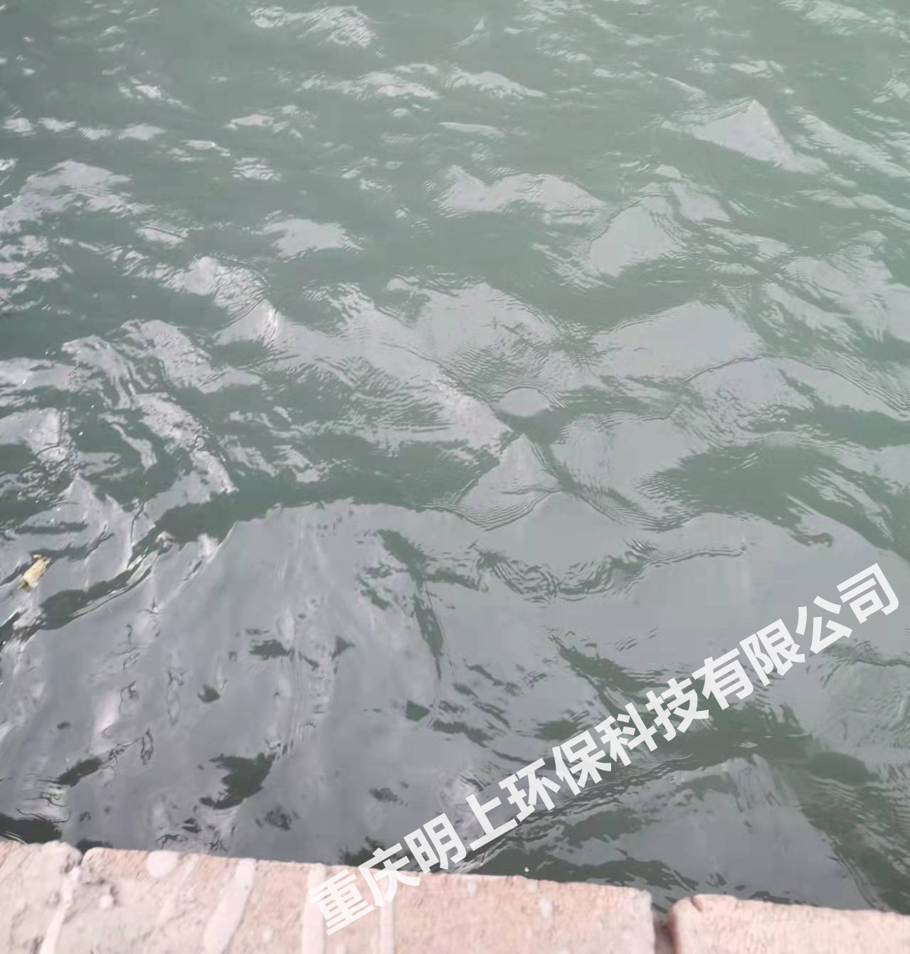 重庆奉节建材行业水洗砂絮凝剂（重庆市奉节县德旺石材加工厂）